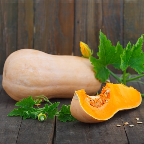 Butternut Kürbis 1 Stück